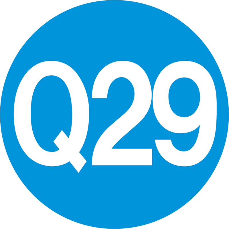 Q29